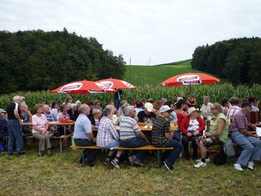 Bild in Honigstein Roggliswil